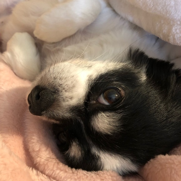 Meet your Posher, Mary - Picture 5 of 16